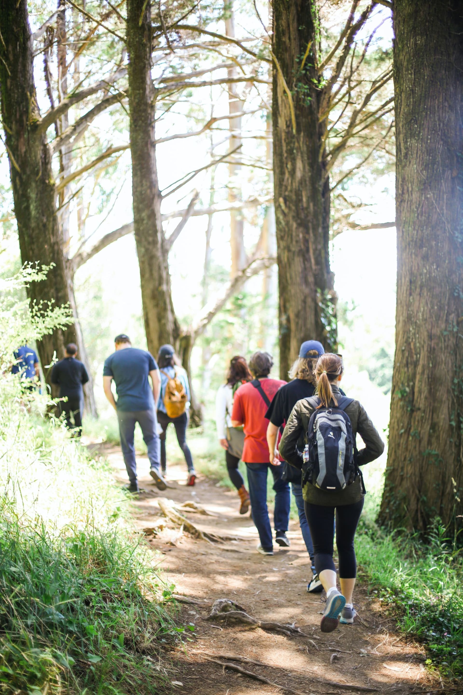 Walkers in a wooded area.